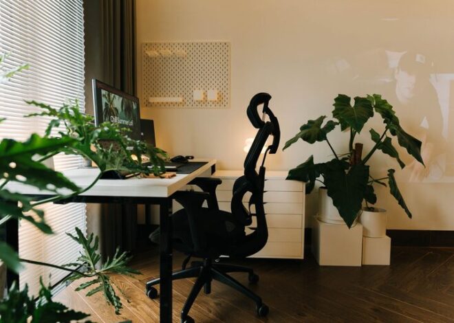 Cómo organizar un espacio de trabajo en casa eficiente y cómodo
