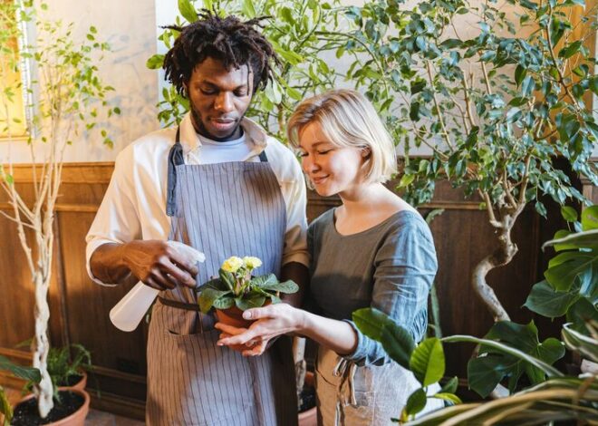 Consejos para mantener las plantas de interior saludables y bonitas todo el año
