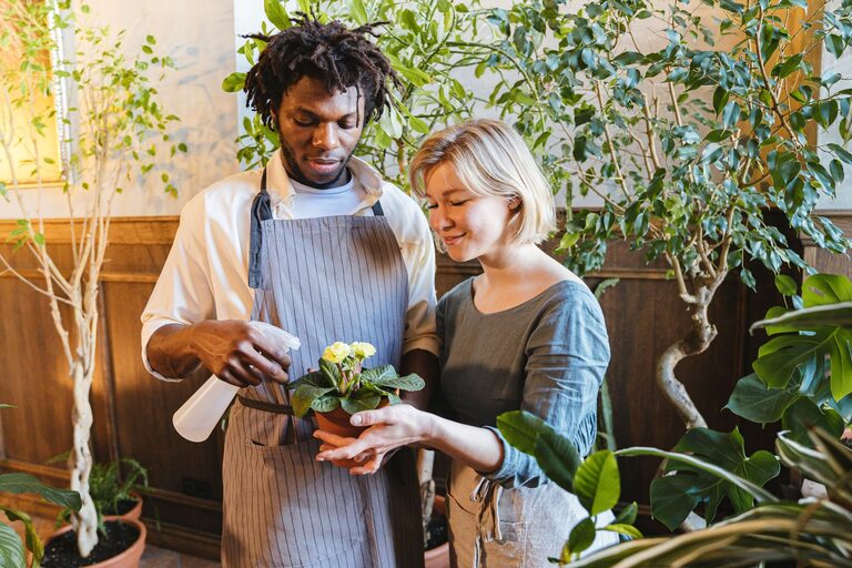 Consejos para mantener las plantas de interior saludables y bonitas todo el año